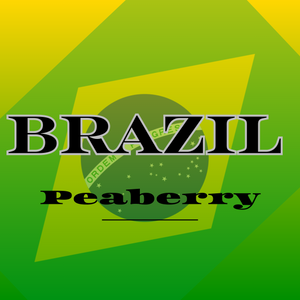 Brazil Peaberry