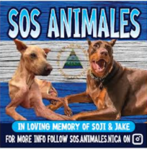 SOS Animales